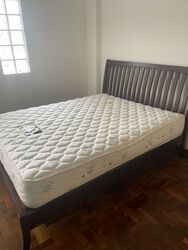 Casa Sarina (D14), Condominium #489139351